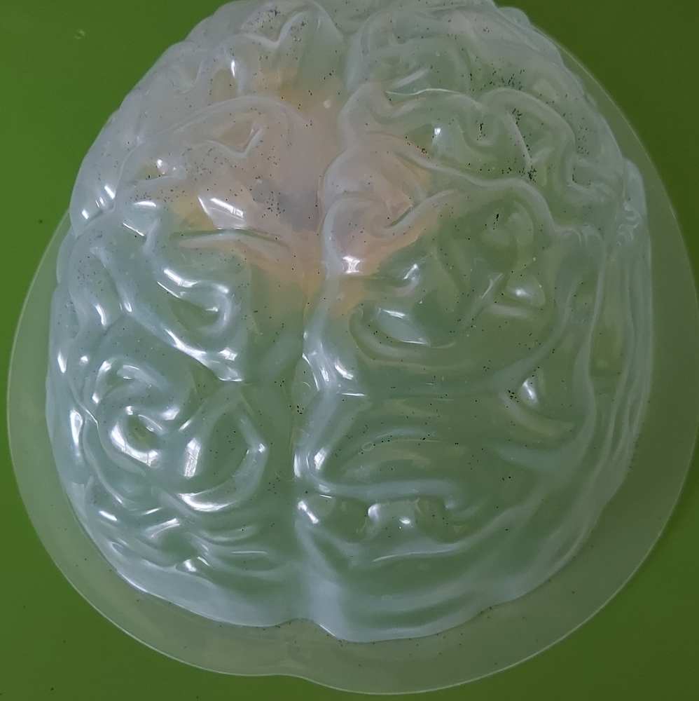 Brain Jello Mold Halloween Party Science Horror Decoration Dessert Human Brains